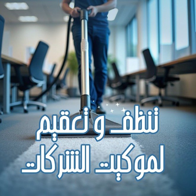 Cleaning Office Carpets (1 meter)